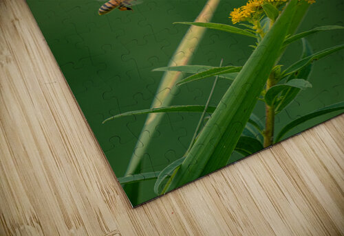 Yellow blossom Hicham Mtl puzzle