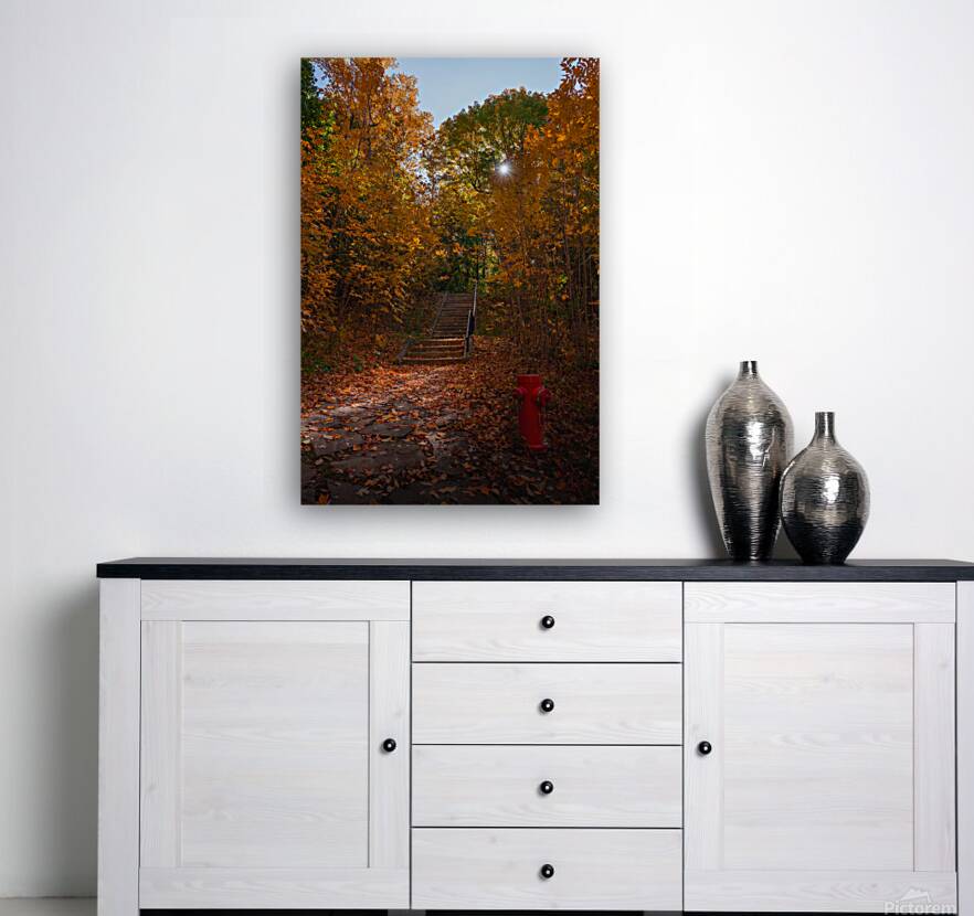 HEL03347 2 Reproduction