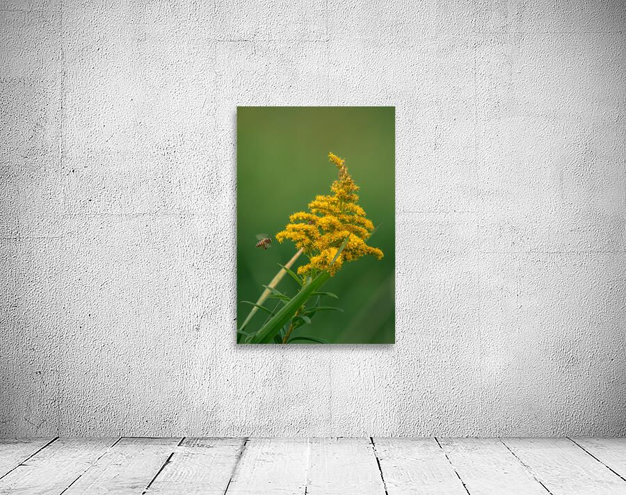 Yellow blossom Wall Preview