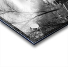 Central Park Acrylic print
