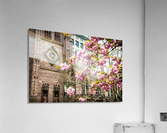 New York City Acrylic Print