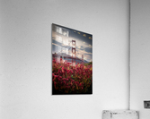 Golden Gate Bridge Acrylic Print
