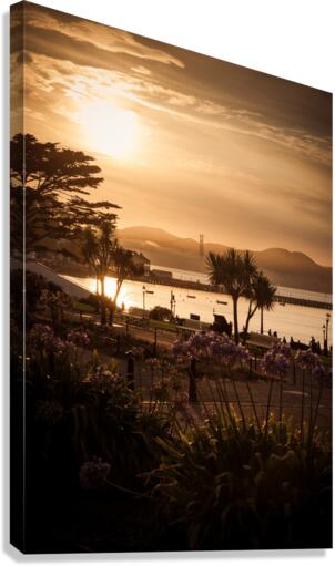 Golden Gate Bridge Canvas Print