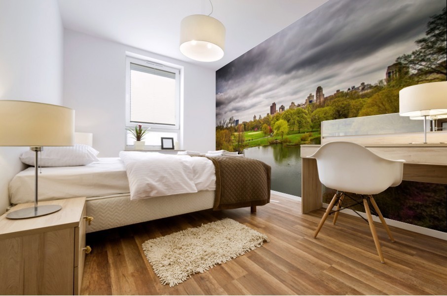 Central Park Mural print