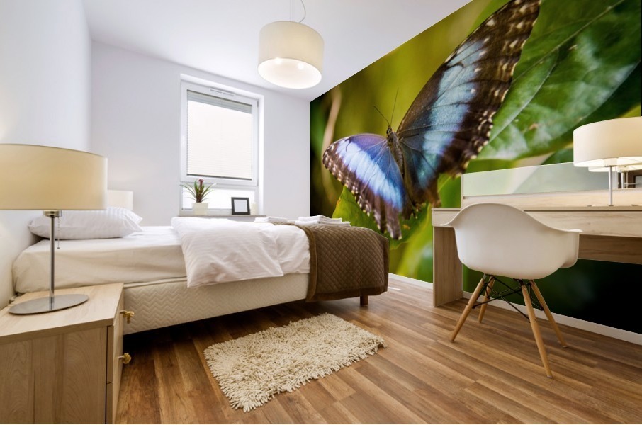 Butterfly Mural print