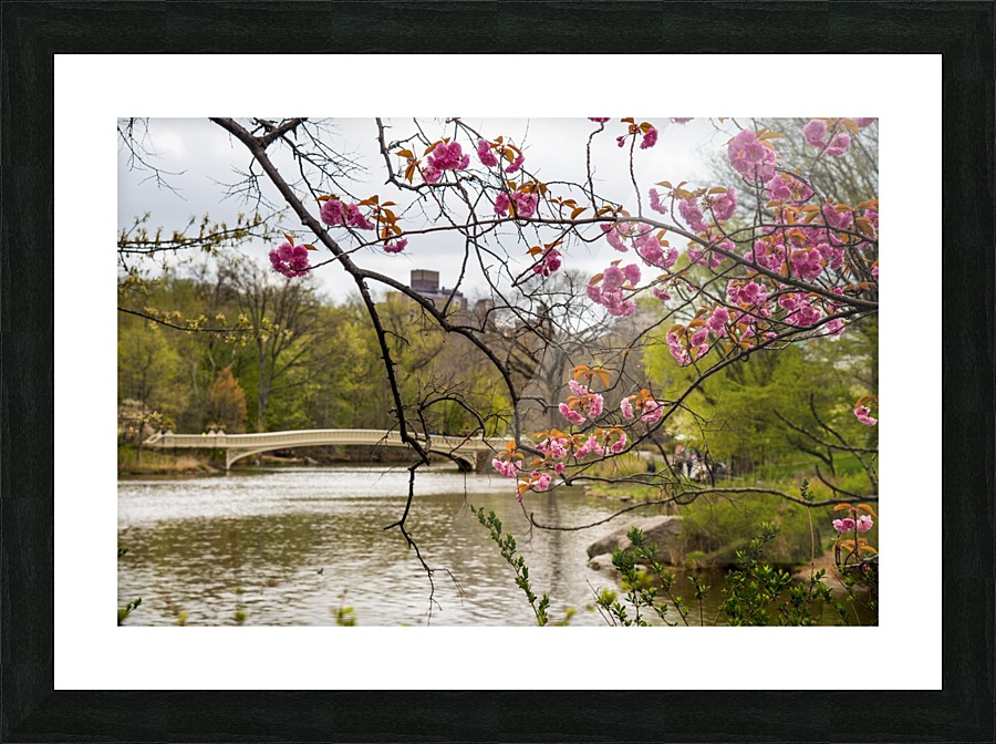 Central Park Picture Frame print