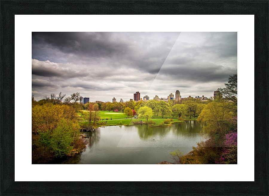 Central Park Picture Frame print