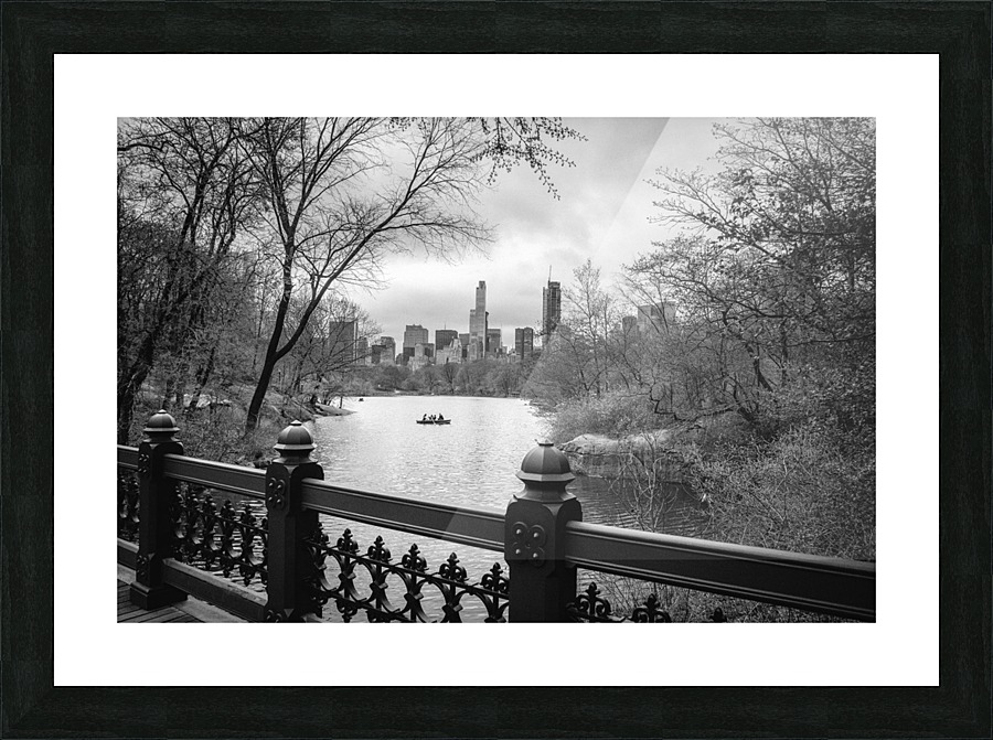 Central Park Picture Frame print