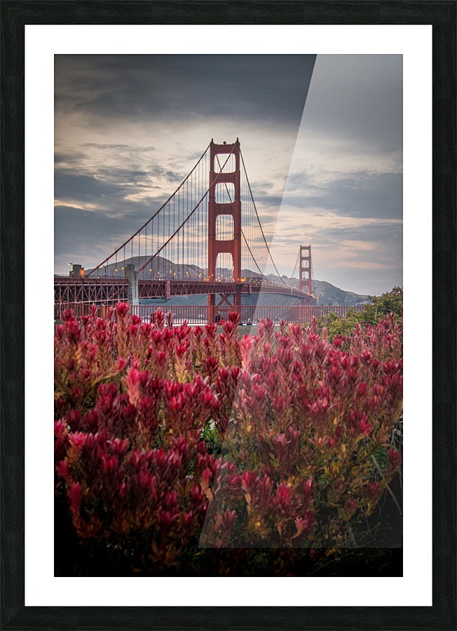 Golden Gate Bridge Picture Frame print