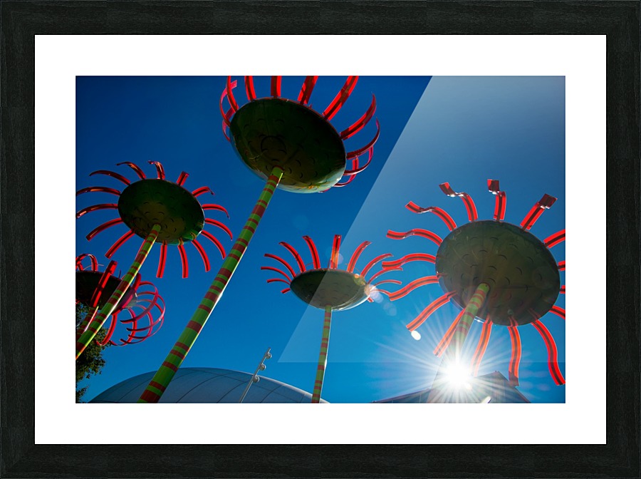 Seattle Washington Picture Frame print