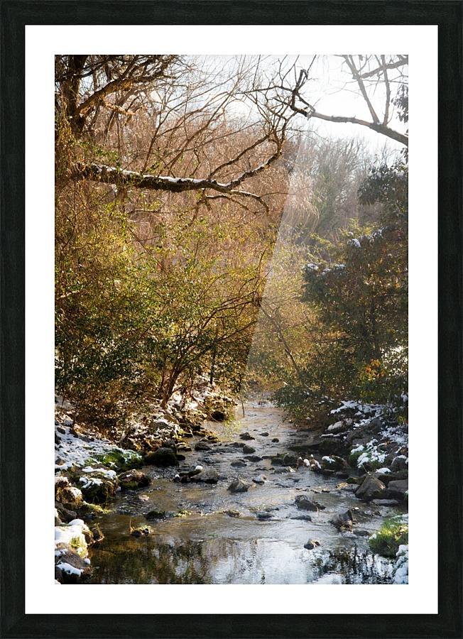 Tennessee Picture Frame print