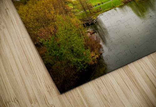 Central Park Billy Johnson puzzle