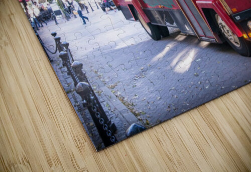 Vancouver Trolly Billy Johnson puzzle