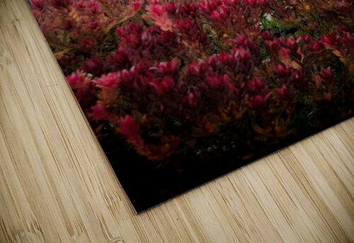 Golden Gate Bridge Billy Johnson puzzle