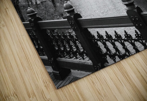 Central Park Billy Johnson puzzle