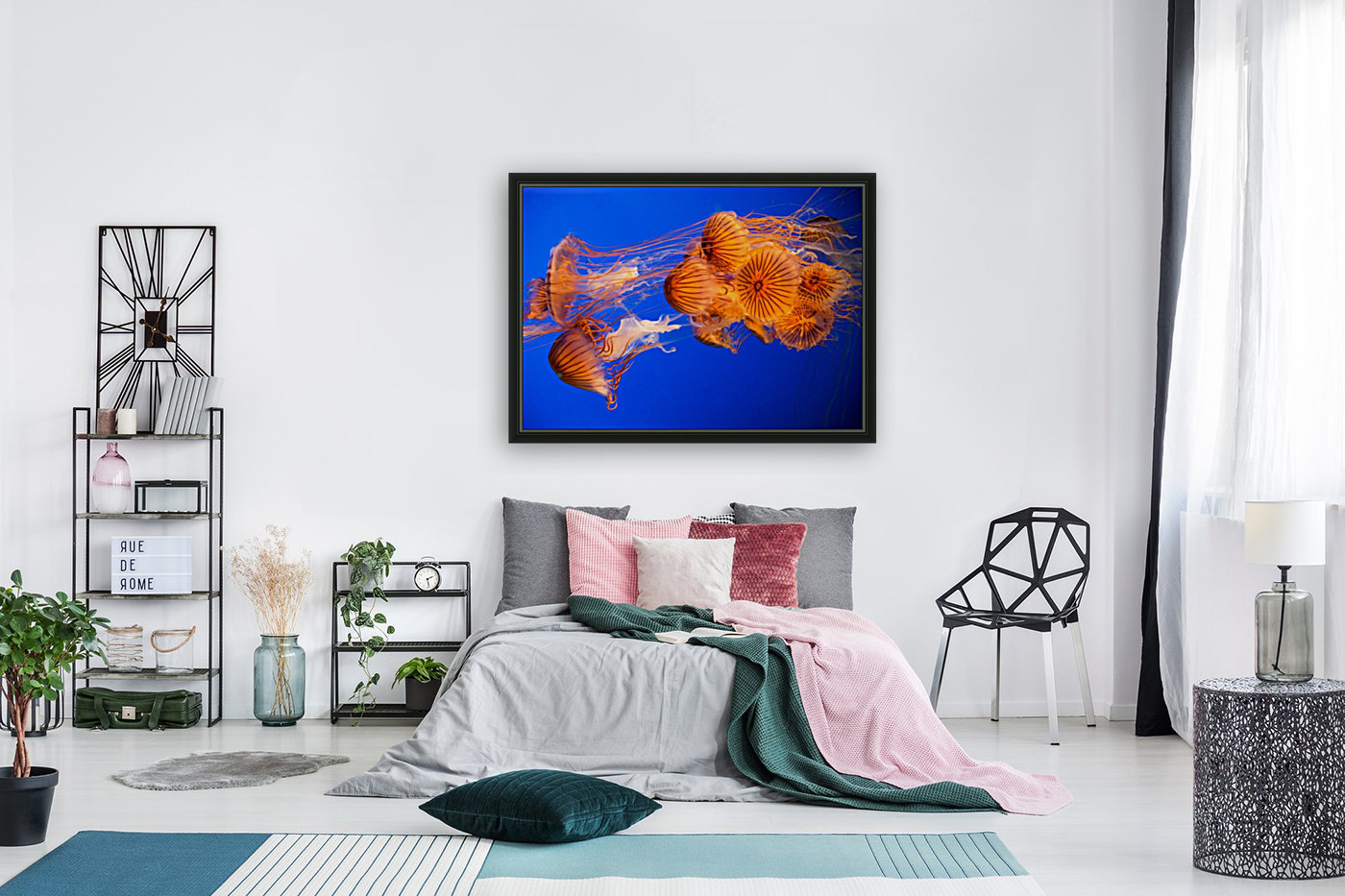 Jelly Fish Reproduction