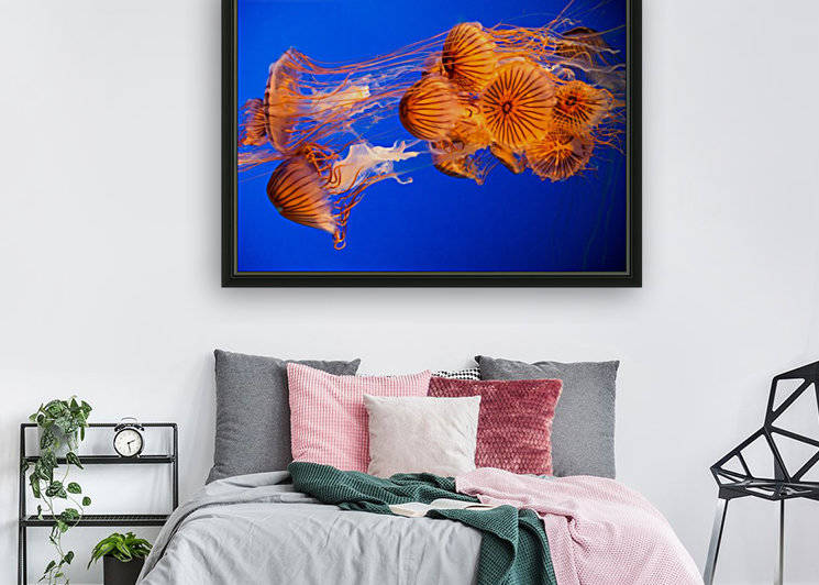 Jelly Fish by Billy Johnson