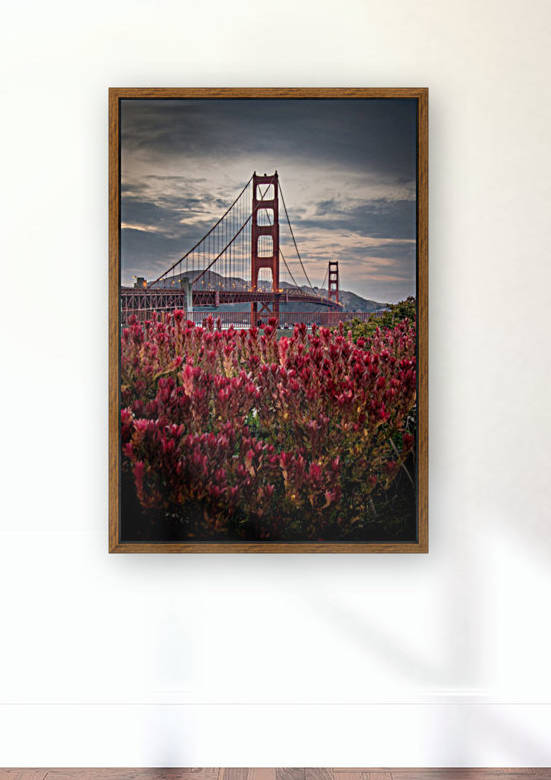 Golden Gate Bridge by Billy Johnson