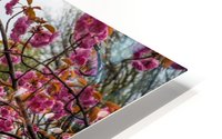Central Park HD Metal print