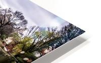 Central Park HD Metal print