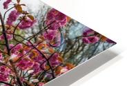 Central Park HD Metal print
