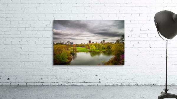 Central Park Wall Preview
