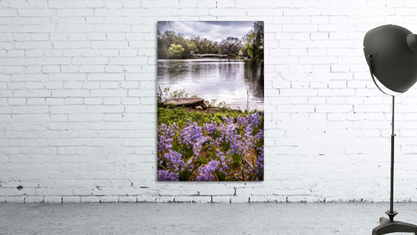 Central Park Wall Preview