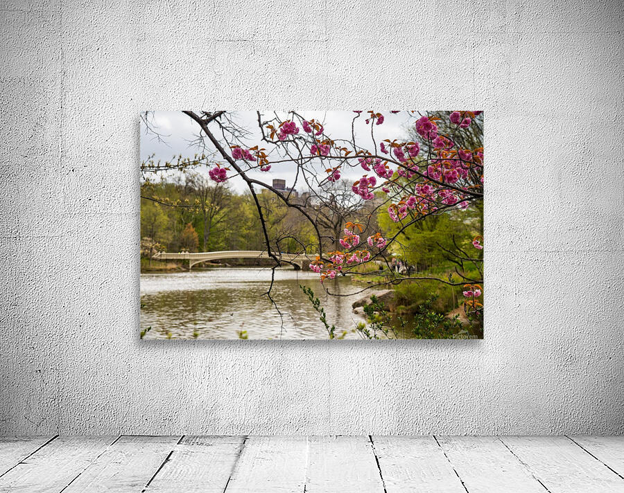 Central Park Wall Preview