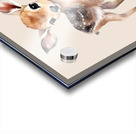 Baby animal Bambi 1 Acrylic print