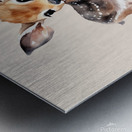 Baby animal Bambi 1 Metal print