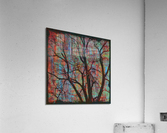 Natures Capillaries Acrylic Print