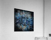 Blue Dandelion Acrylic Print