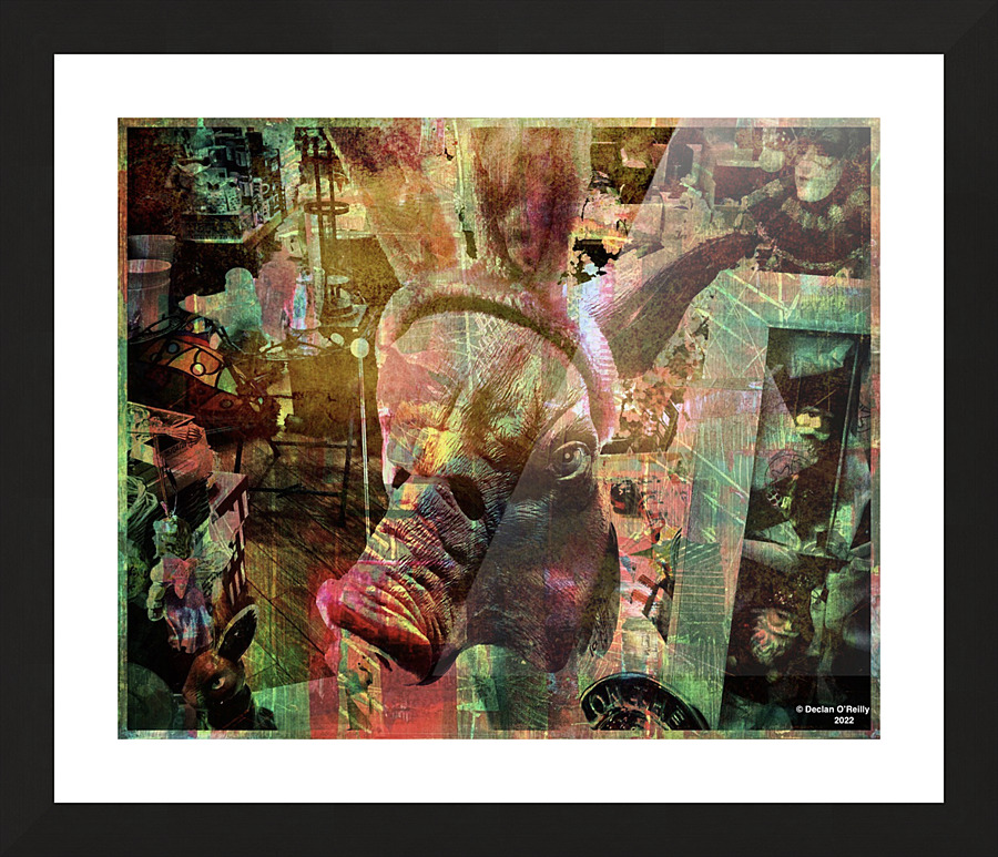 Pig Headed-3 Picture Frame print
