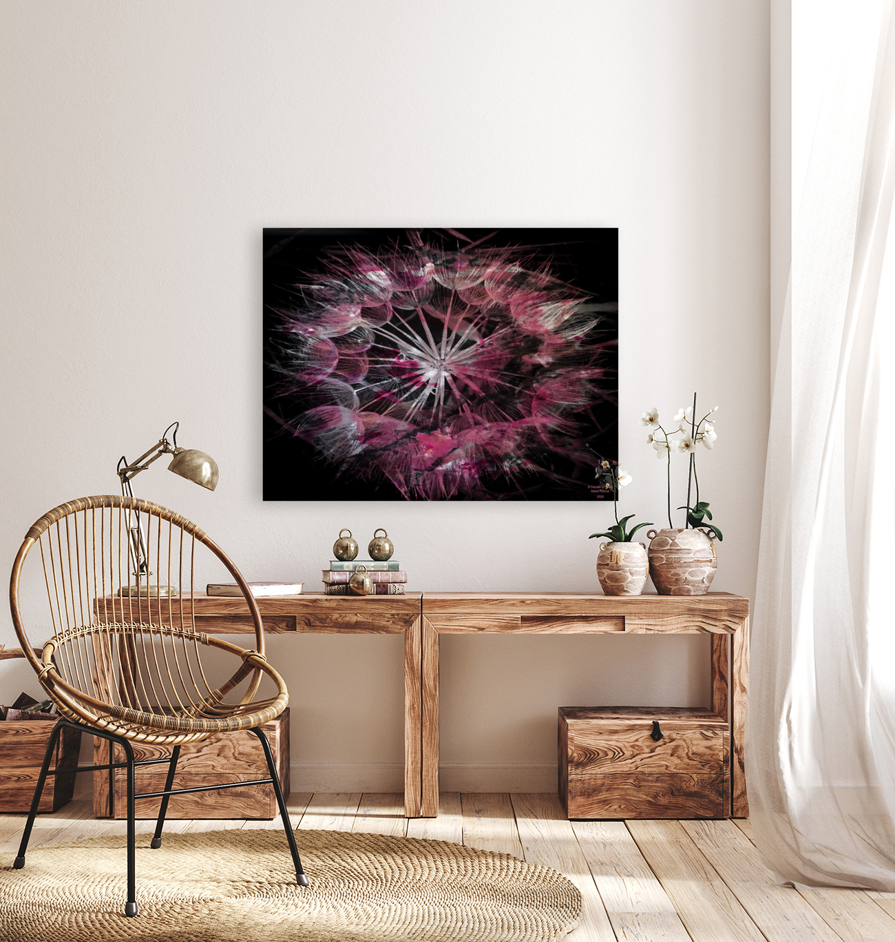 Pink Dandelion Reproduction