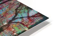 Natures Capillaries HD Metal print