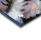 Sunset Palm   Cane Garden Bay Acrylic print