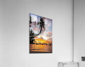 Sunset Palm   Cane Garden Bay Acrylic Print