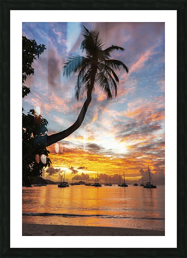 Sunset Palm   Cane Garden Bay Picture Frame print