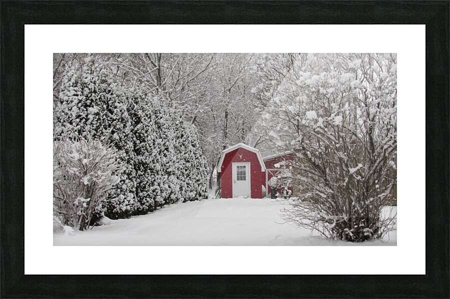Red Shed Picture Frame print
