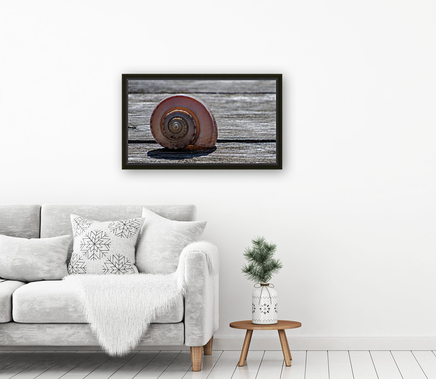 Sea Shell Reproduction