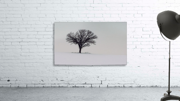 Loner Tree Wall Preview