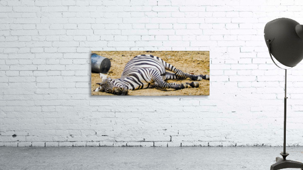 Lazy Zebra Wall Preview