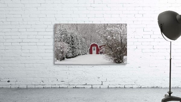 Red Shed Wall Preview