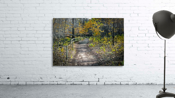 Autumn Path Wall Preview