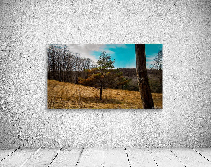 Oxbow Park Wall Preview