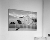 B-17 Curves Acrylic Print