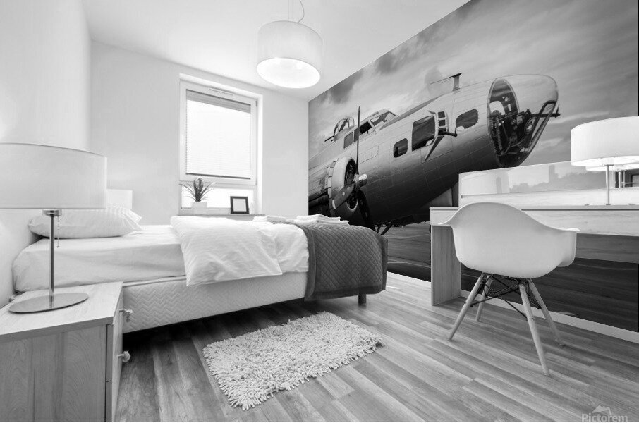 B-17 Mural print