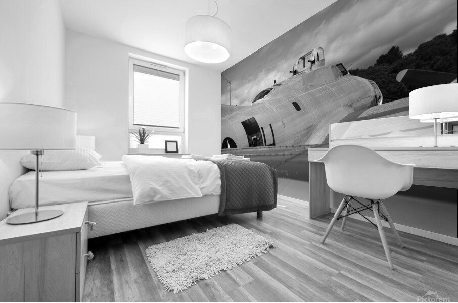 B-17 Curves Mural print