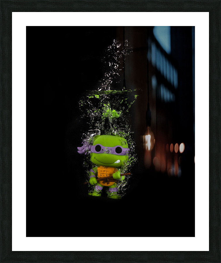 Donatello Picture Frame print
