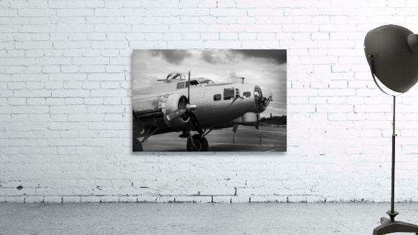 B-17 Wall Preview
